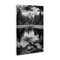 Stupell Industries Black & White Forest Reflection Canvas Wall Art Design by Rick Berk
